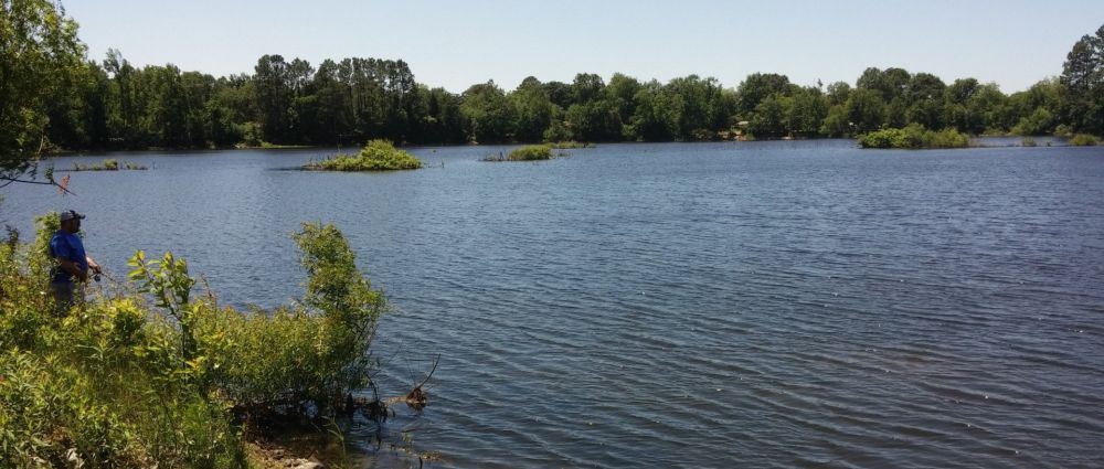 swingers in Warner Robins